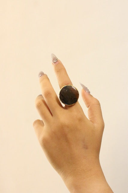 Petrified Wood Red Jasper Cabochon With Gold Brass Ring