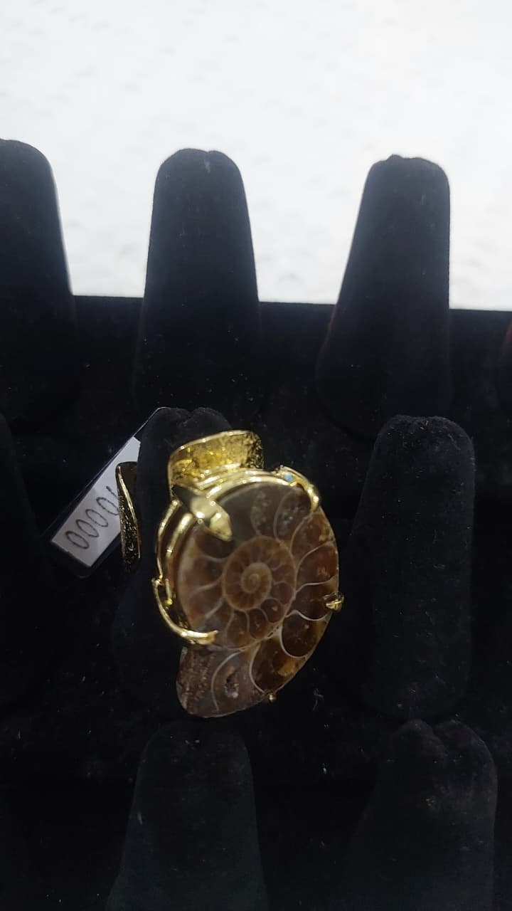Ammonite Fossil Ring with Gold Wire Wrap